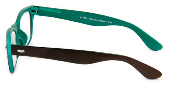 Leesbril INY Woody Double G42300 bruin/groen